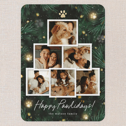 Pine Paws Holiday Card, Green, 5x7 Flat, Holiday, 100% Recycled Cardstock , Rounded, Spruce Green