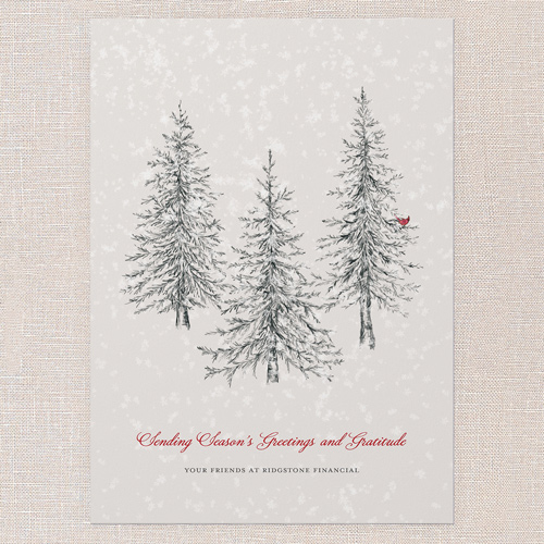Winter Gratitude Holiday Card, Grey, 5x7 Flat, Holiday, Standard Smooth Cardstock, Square, Whisper Gray