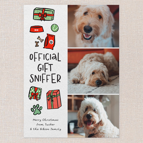 Gift Sniffer Greetings Holiday Card, White, 5x7 Flat, Christmas, Standard Smooth Cardstock, Square, White