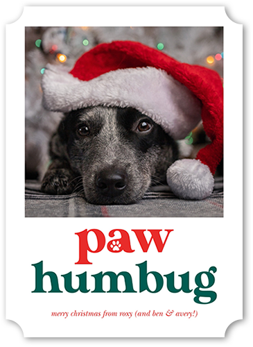 Paw Humbug Christmas Card, White, 5x7 Flat, Christmas, Pearl Shimmer Cardstock, Ticket, White