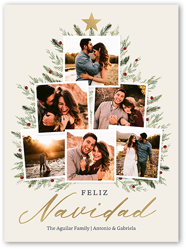 Decorated With Memories Holiday Card, Beige, 6x8 Flat, Feliz Navidad, 100% Recycled Cardstock , Square