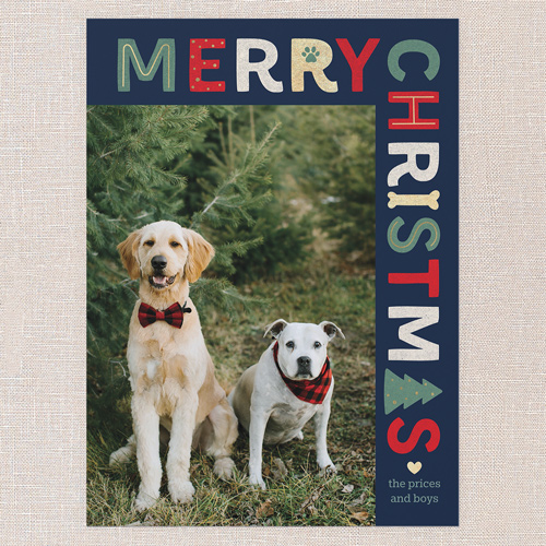 Pet Icon Holiday Card, Blue, 6x8 Flat, Christmas, Signature Smooth Cardstock, Square, Nautical