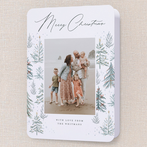 Winter Pines Frame Holiday Card, White, 5x7 Folded, Christmas, Pearl Shimmer Cardstock, Rounded, White