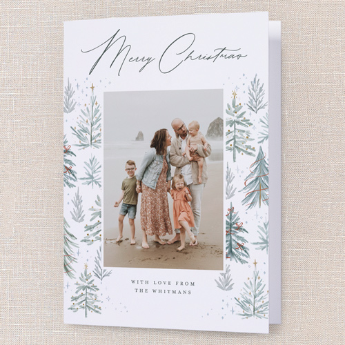 Winter Pines Frame Holiday Card, White, 5x7 Folded, Christmas, Pearl Shimmer Cardstock, Square, White