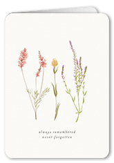 Beloved Blossoms