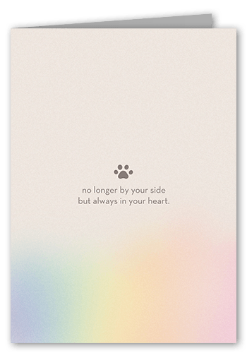 Forever Pet Sympathy Card, Grey, 5x7 Folded, Write Your Own Greeting, Matte, Folded Smooth Cardstock, Square