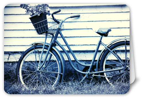 Everyday Photography Custom Card Project, White, Matte, Folded Smooth Cardstock, Rounded