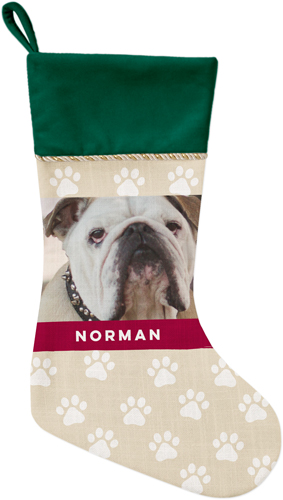 Paw Print Christmas Stocking, Green, Beige