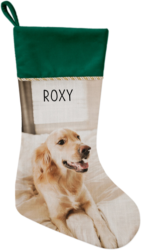 Pet Photo Gallery Christmas Stocking, Green, Multicolor