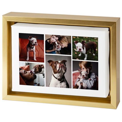 Clean Gallery of Six Tabletop Framed Canvas Print, 5x7, Gold, Tabletop Framed Canvas Prints, Multicolor, multi