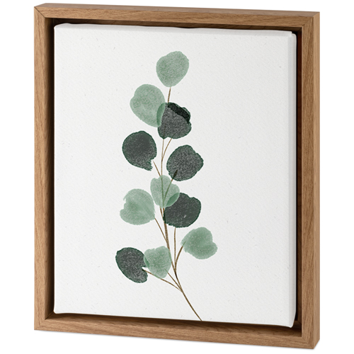 Watercolor Botanical Tabletop Framed Canvas Print by Shutterfly