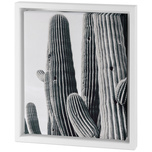 Vintage Cacti Tabletop Framed Canvas Print, 8x10, White, Tabletop Framed Canvas Prints, Multicolor