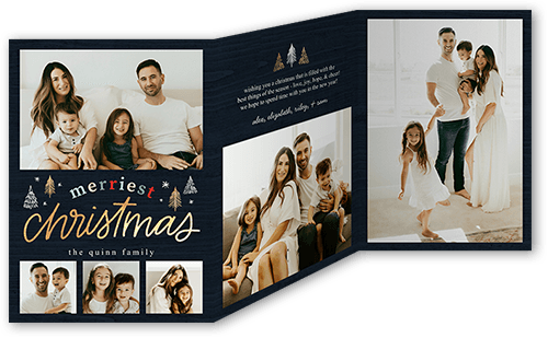 Year In Review Trifold Holiday Card, Black, Trifold, Christmas, Matte, Folded Smooth Cardstock