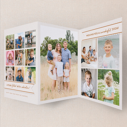 Family Trifold New Year's Card, Beige, Trifold, New Year, Matte, Folded Smooth Cardstock, Wheat