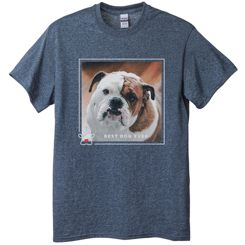 Best In Show Best Dog Ever T-shirt, Adult (XXL), Gray, Customizable front, Brown