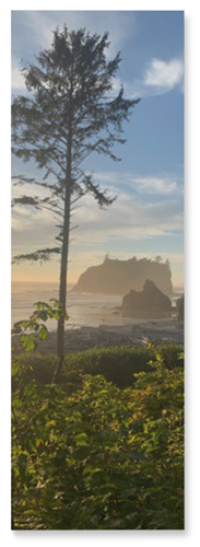 Photo Gallery Pano Portrait Wall Art, No Frame, Single piece, Mounted, 12x36, Multicolor, multi