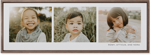 Three Of A Kind Wall Art, Walnut, Single piece, Mounted, 12x36, Multicolor, multi