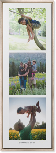 Three of a Kind Portrait Wall Art, Metallic, Single piece, Mounted, 12x36, Multicolor
