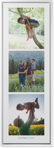 Three of a Kind Portrait Wall Art, White, Single piece, Mounted, 12x36, Multicolor, multi