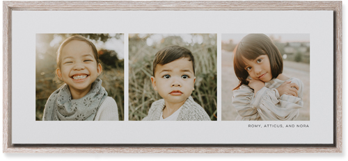 Three Of A Kind Wall Art, Rustic, Single piece, Mounted, 10x24, Multicolor