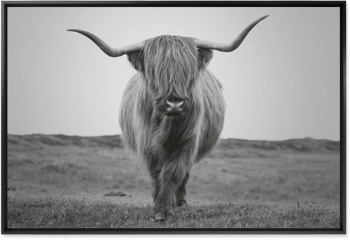 Highland Cattle Wall Art, Black, Single piece, Mounted, 24x36, Multicolor