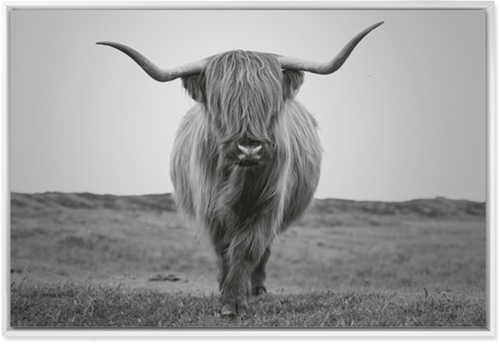 Highland Cattle Wall Art, White, Single piece, Mounted, 24x36, Multicolor