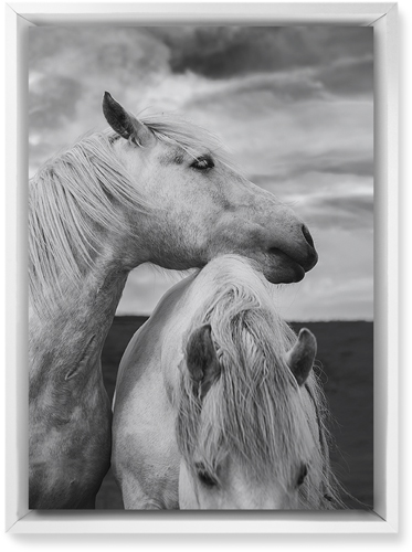 Black and White Horses Wall Art, White, Single piece, Mounted, 10x14, Multicolor