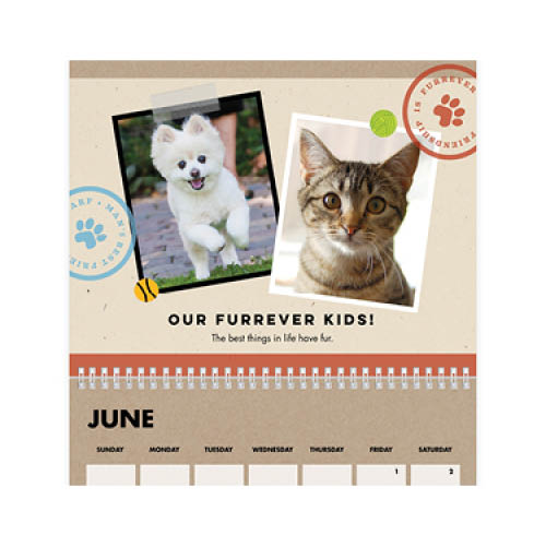 Four Legged Friends Wall Calendar, 8x11