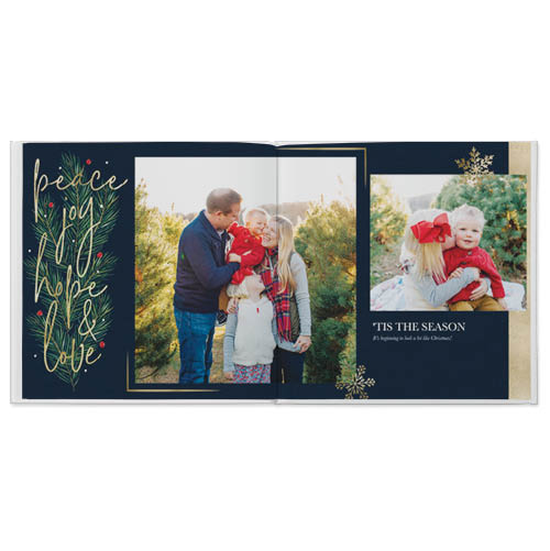Celebrate the Season Photo Book, 10x10, Professional Flush Mount Albums, Flush Mount Pages