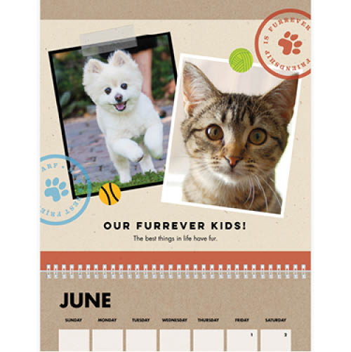 Four Legged Friends Wall Calendar, 12x12