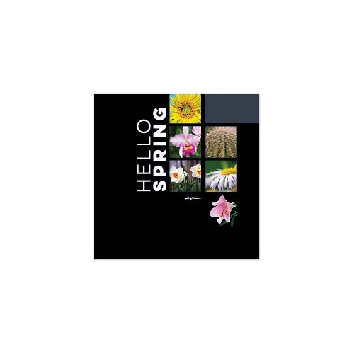 Modern Black Calendar Wall Calendar | Shutterfly